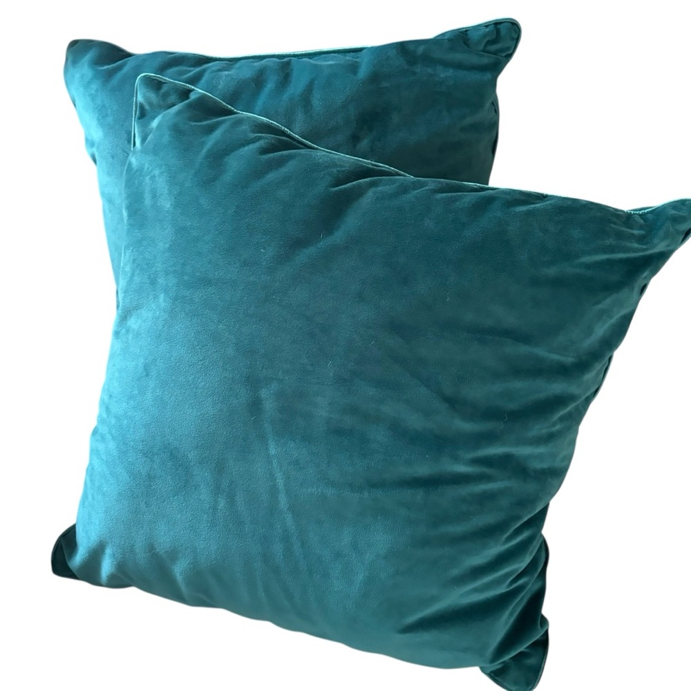 Set of 2 - 20” Teal Velour Velvety Throw Pillows Color is teal/blue/green